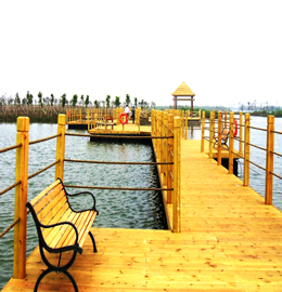 珠海横琴湿地公园浮桥
