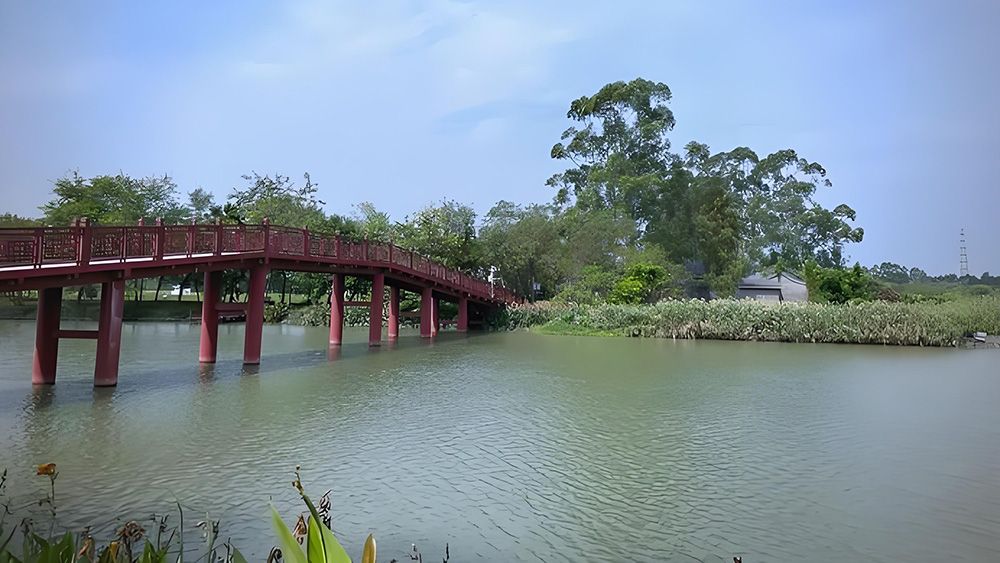 德立码头德普浮桥：麻涌华阳湖国家湿地公园栈桥浮桥 激活景区新流量