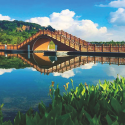 Ancient Floating Bridge Consultation