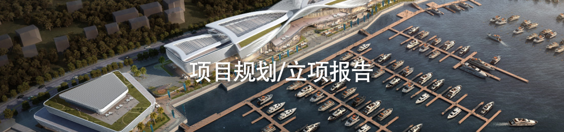 项目规划/立项报告