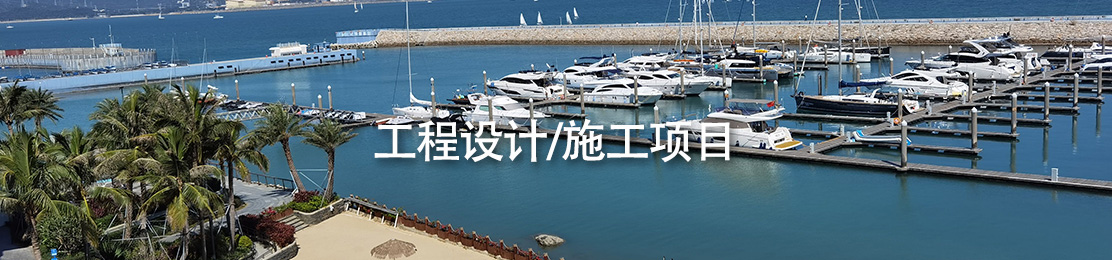 工程设计/施工项目