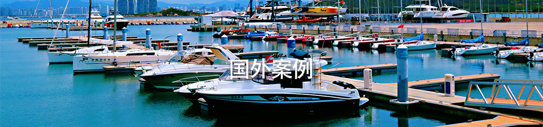 国外案例
